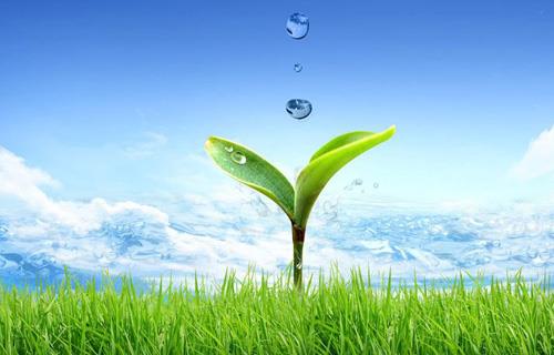 �ŵ�88������վ