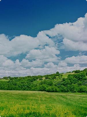 �ŵ�88��(�й���)�ٷ���վ